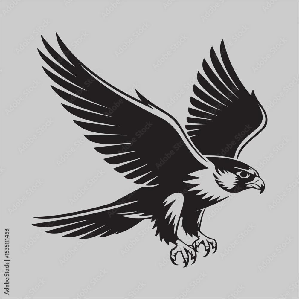 Obraz premium Eagle's Gaze