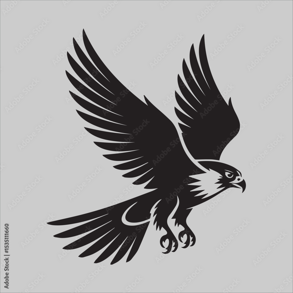 Fototapeta premium Hawk of Honor