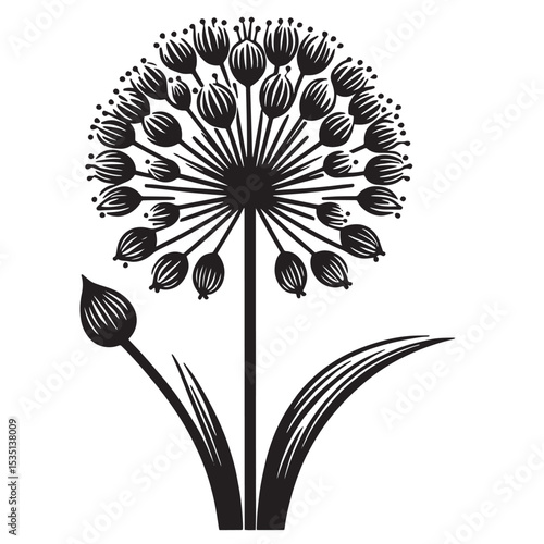 Allium Flower SVG