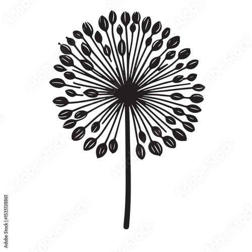 Allium Flower SVG