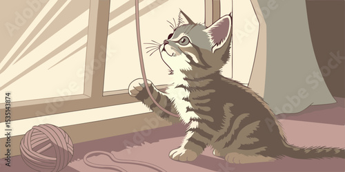 fluffy kitten window view