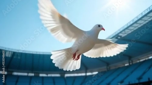 white Dove flying symbolizing the Holy Spirit, stadium background