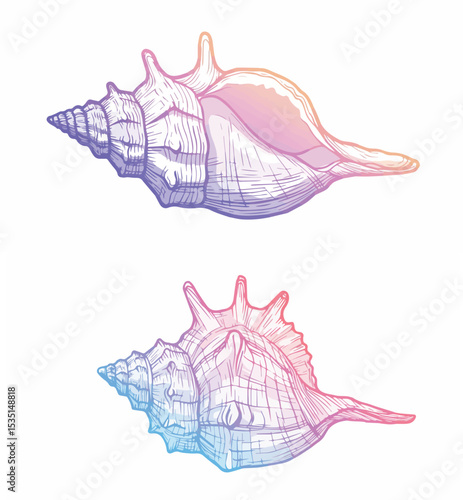 Hand-Drawn Seashell with Gradient Colors

