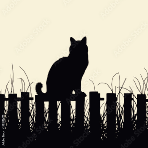 Silhouette of a Cat Sitting on a Fence in a Field