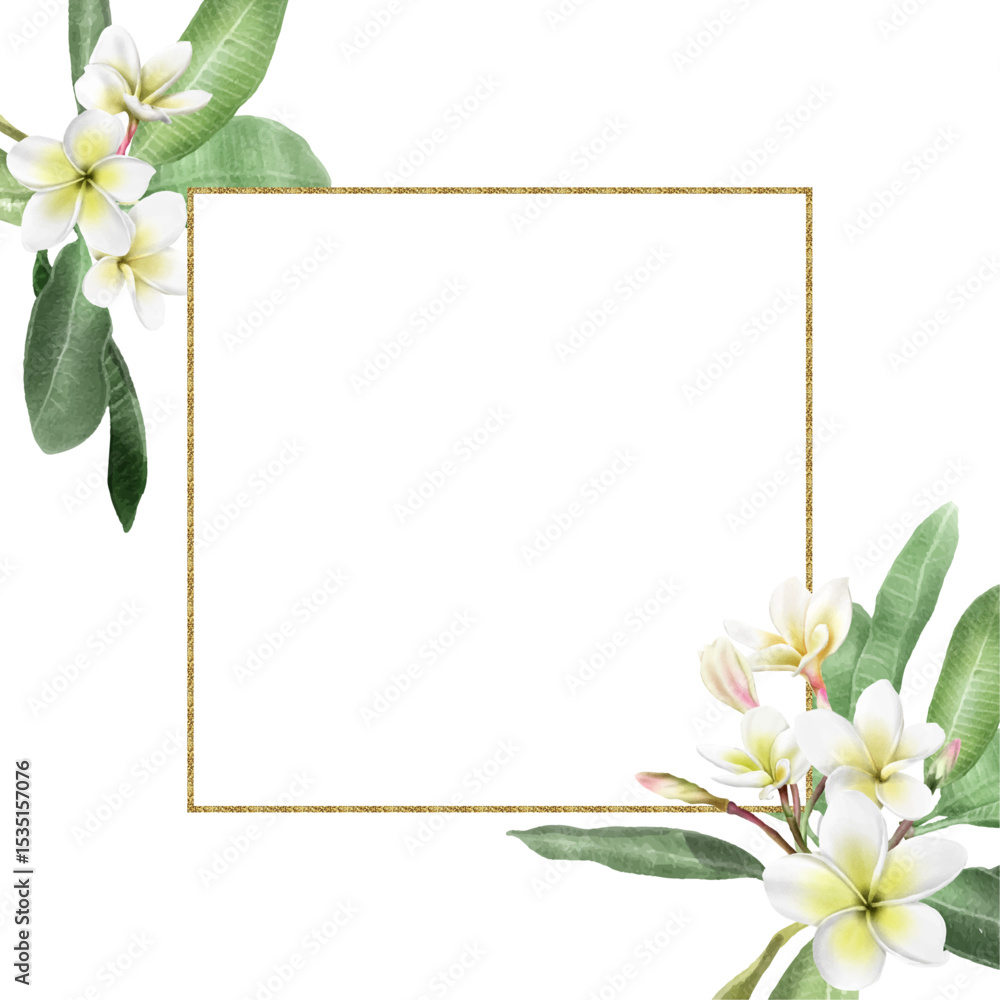 white plumeria with green leaves and buds and a golden frame on a transparent background.Close-up, isolatedt white plumeria with green leaves and buds and a golden frame on a transparent background.Close-up, isolatedt