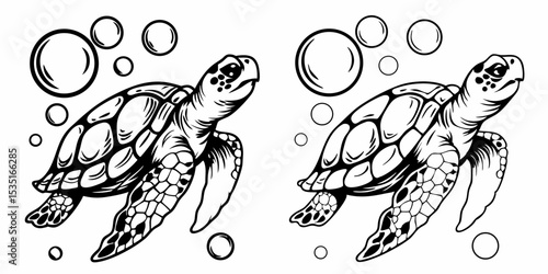 Two sea turtles swimming with bubbles in a black and white illustration style on a white background | eps vectors silhouette