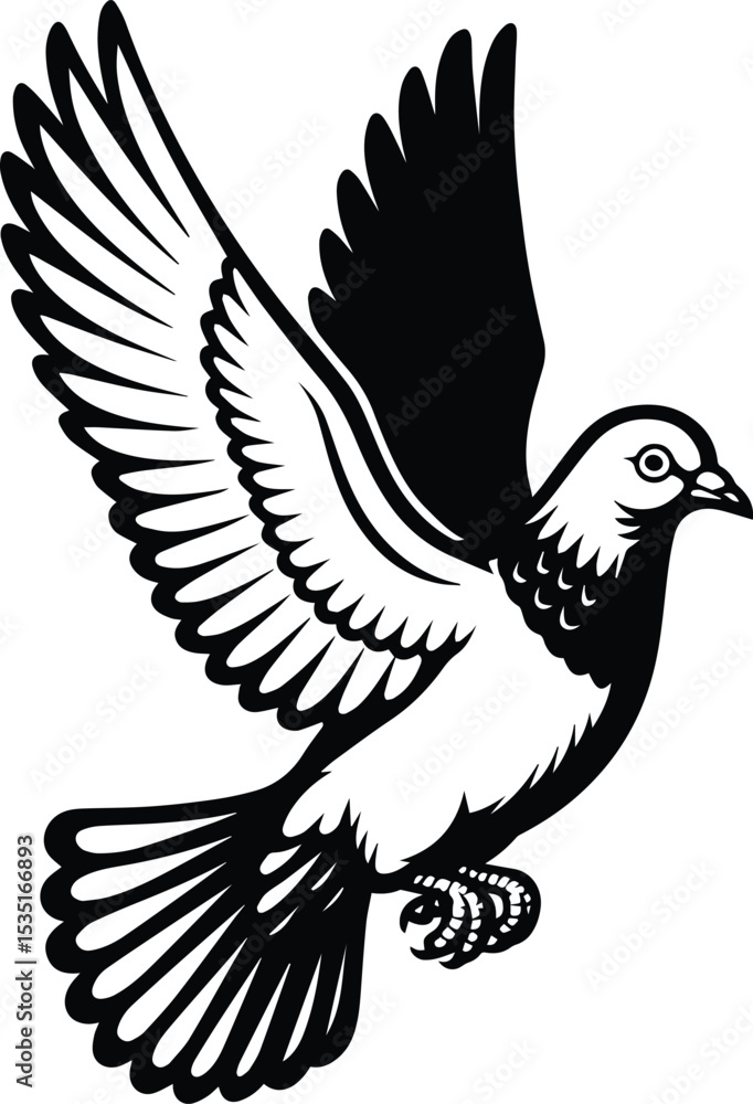 Fototapeta premium Pigeon bird flying - Dove bird on transparent background