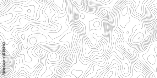 Geometric Contour Lines Map – Abstract Topographic Illustration in Black and White, Ideal for Digital Mapping, UX Design, and Branding.Elegant Topographic Lines Design.