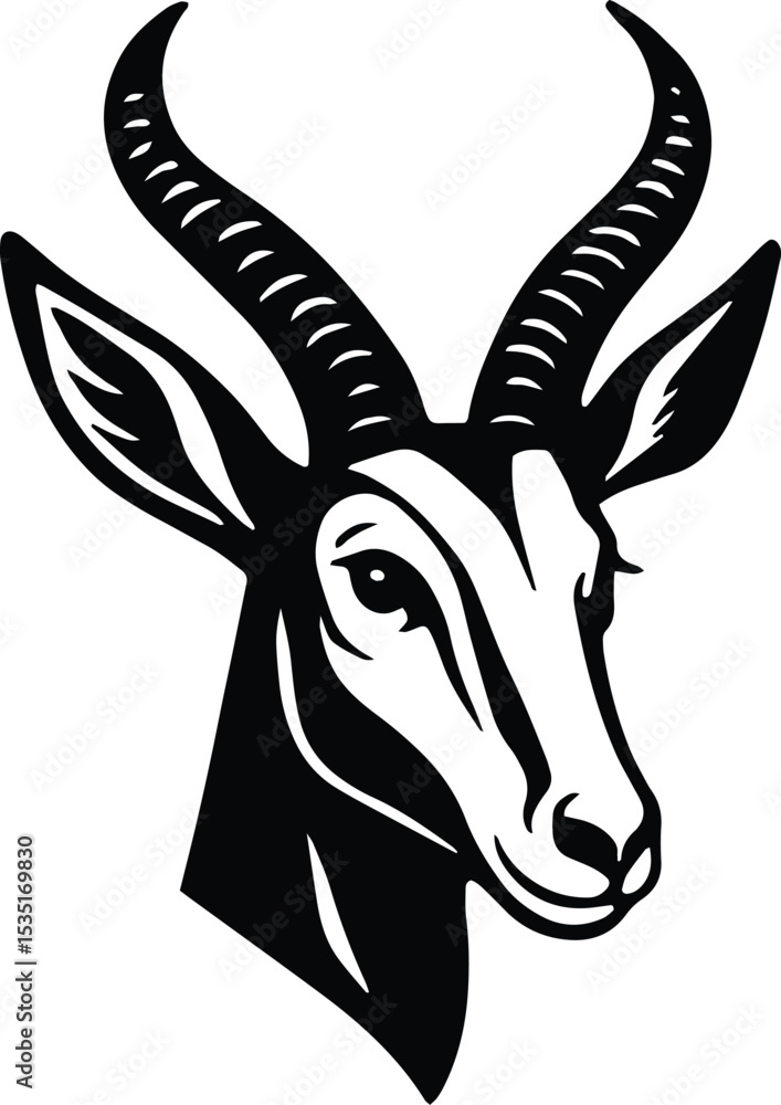 Fototapeta premium Springbok springbuck antelope head