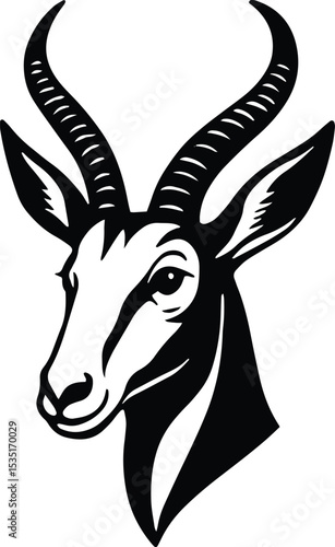 Springbok springbuck antelope head