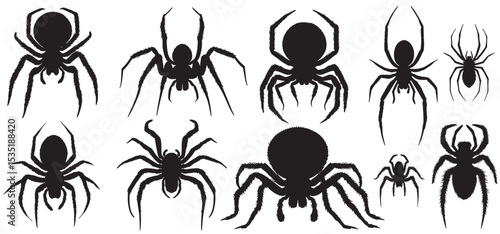 Black spiders silhouette set vector on white background. Creepy spider silhouettes set            