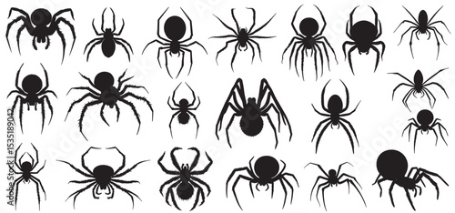 Spider Silhouettes Collection. Designs For Nature And Halloween Themes. Vector Illustration 