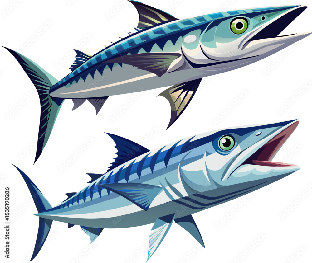 Obraz premium barracuda fish isolated on white. A barracuda with a fierce expression and silver skin, isolated on white background