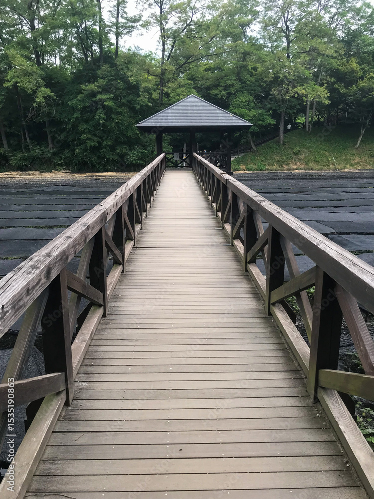 Obraz premium Wooden Bridge to Gazebo in Forest