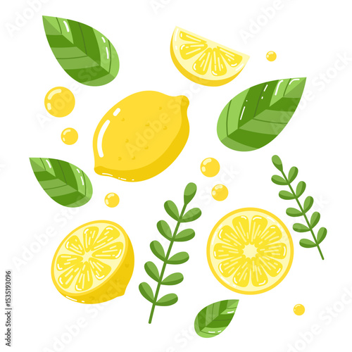 set of lemon slices