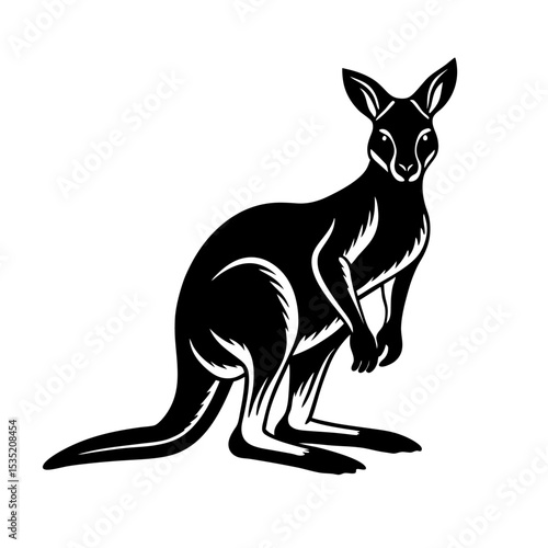 kangaroo cartoon vector