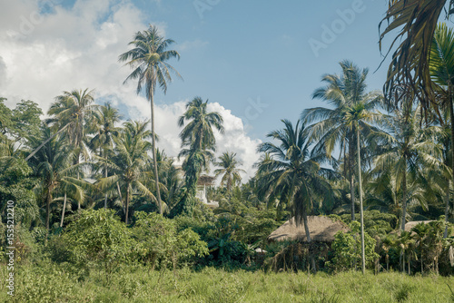Wallpaper Mural Thatched Hut in Tropical Rainforest Torontodigital.ca