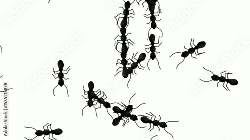 3D Ant Motion Graphics Animation
