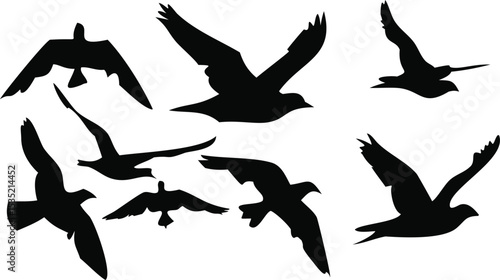 dark silhouette birds flying, monochrome minimalist bird illustration, vector graphic design birds, stark black and white bird silhouette art
