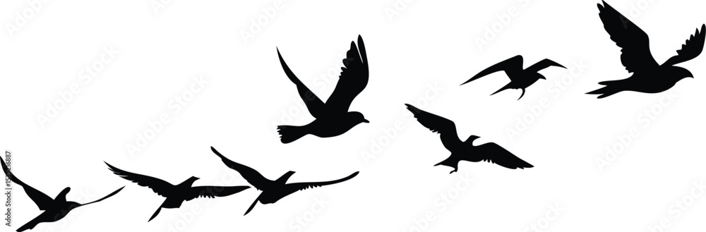 Fototapeta premium Printbird silhouettes, dark flying birds, minimalist birds in flight, black and white bird illustrations, simple avian shapes, dynamic bird motif, abstract bird icons, graphic bird symbols, elegant