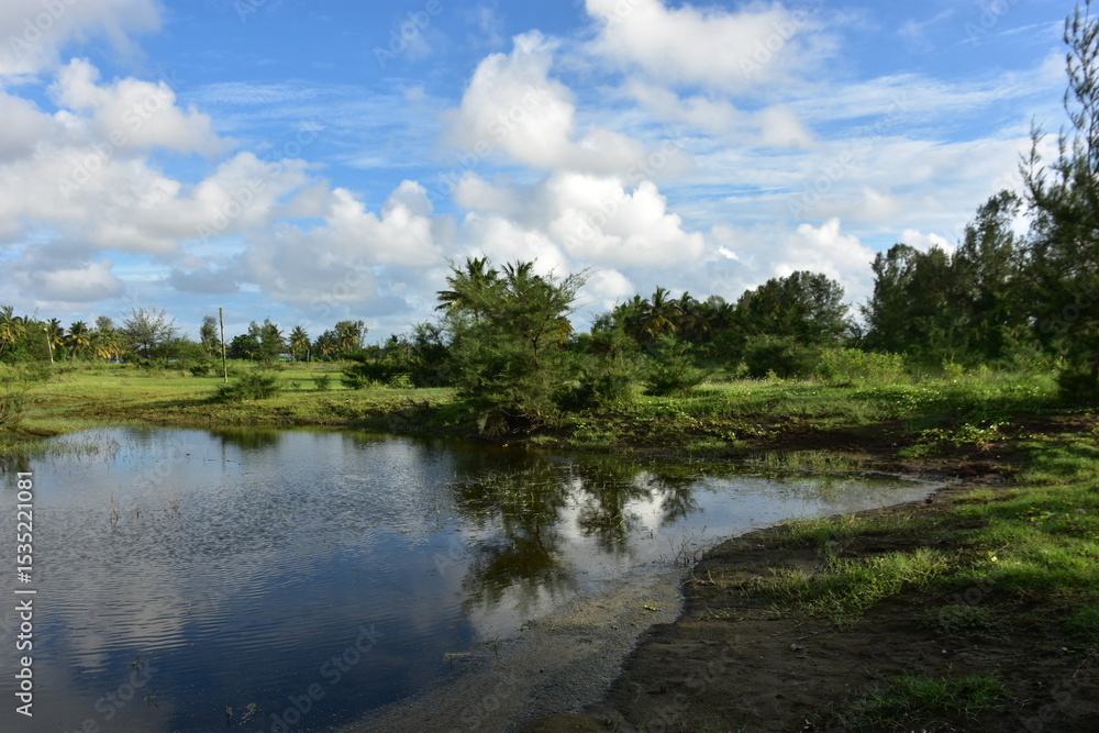 Fototapeta premium Serene landscape with calm water reflecting green trees under a bright blue sky with fluffy clouds.