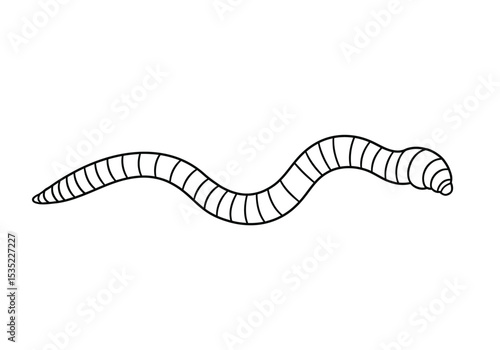 Earth worm drawing. It is a black and white outline image of an earthworm, an elongated invertebrate typically found in soil, known for its segmented body. Vector sketch line art draw.