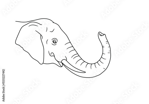 Elephant trunk drawing. It is a black and white outline image of an elephant's head and trunk, highlighting its distinctive and versatile appendage. Vector sketch line art draw.