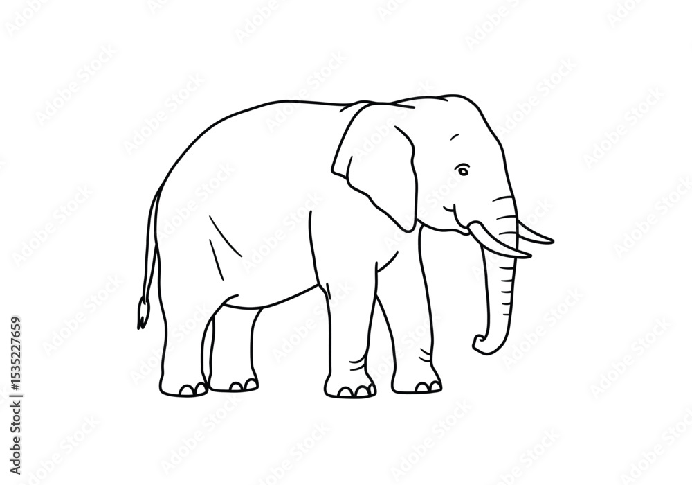Fototapeta premium Elephant drawing. It is a black and white outline image of an elephant, a large mammal known for its distinctive trunk, tusks, and large ears. Vector sketch line art draw.