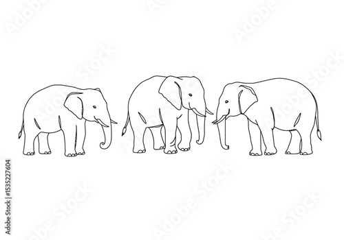 3 elephant drawing. It is a black and white outline image of three elephants, depicting these large mammals known for their trunks and tusks. Vector sketch line art draw.