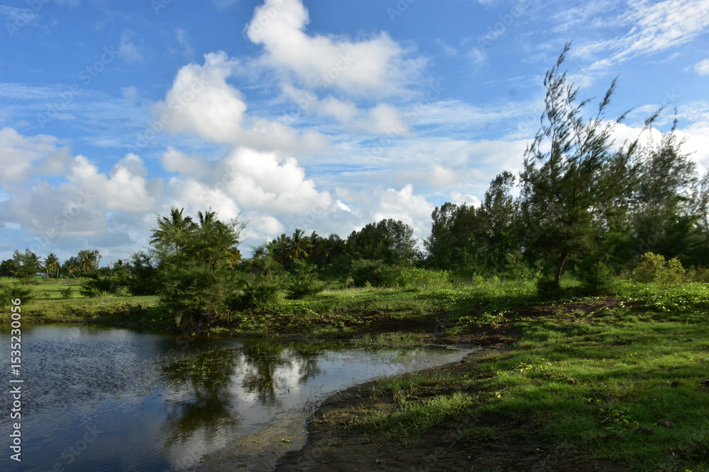 Fototapeta premium Serene landscape with calm water reflecting green trees under a bright blue sky with fluffy clouds.