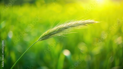 A close-up shot of a single blade of grass in focus against a seamless blend of lush green grasses swaying gently in the breeze
