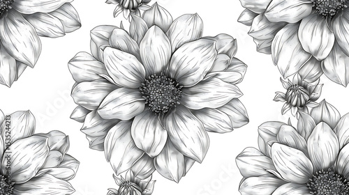 Wallpaper Mural A detailed monochrome drawing of dahlia flowers with intricate petal patterns, isolated on white background, showcasing botanical elegance and artistic floral design Torontodigital.ca