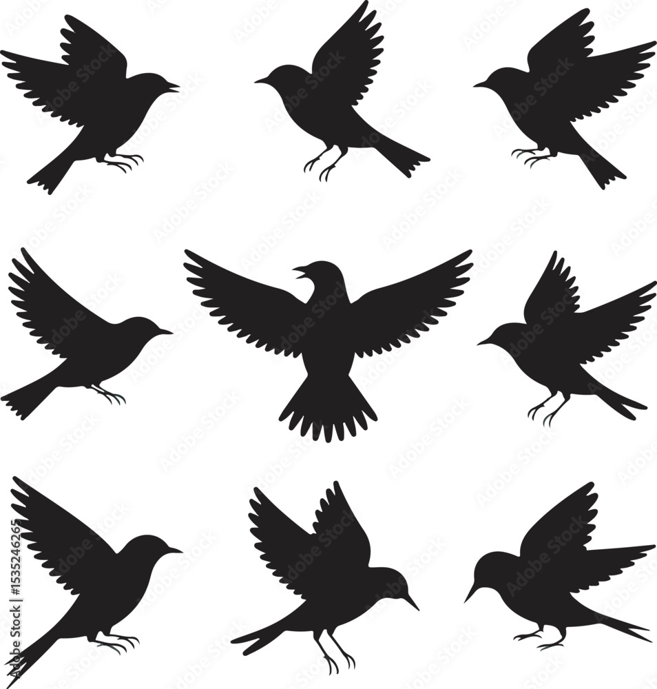 Obraz premium Nine Black Bird Silhouettes Flight Variations birds