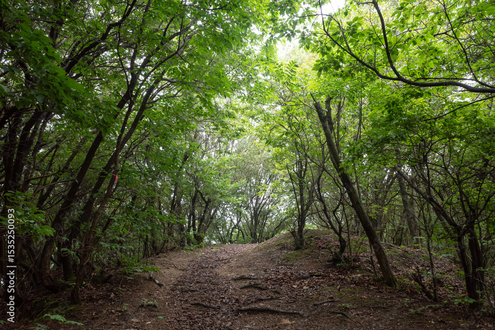 Obraz premium 日本の広島県福山市の横島の美しい風景