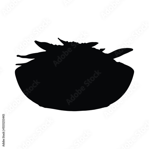A bowl filled with a dark silhouetted food presentation on a white background