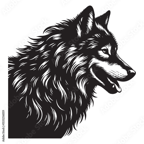 black and white wolf