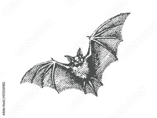 A halftone-style illustration of Halloween element , witch hat , bat, witch hat, spider,  pumpkin, cherry  etc.