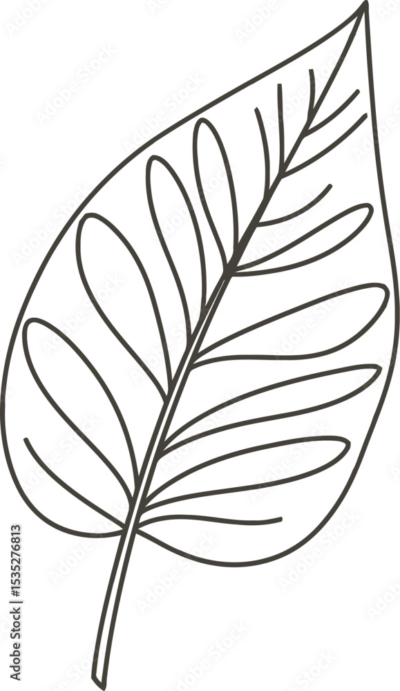Fototapeta premium Simple Leaf with Veins Outline - AI Generative 