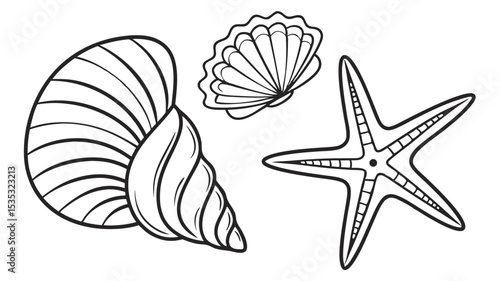 Hand drawn black and white vector illustrations of seashells and starfish for coastal designs