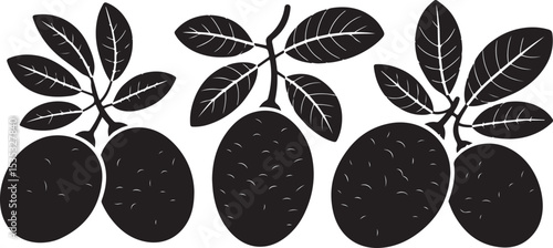 Three Black Silhouette Cherimoya Fruits with Leaves