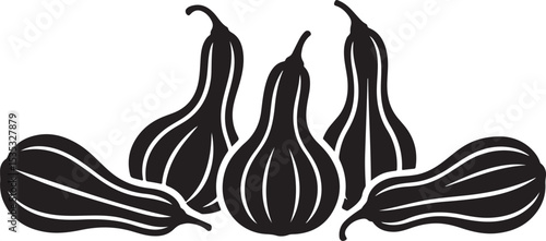 Black and White Illustration of Gourds and Pumpkins