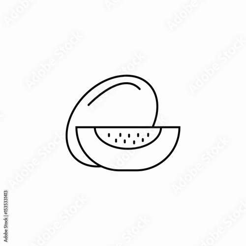 cantaloupe melon sliced icon sign vector