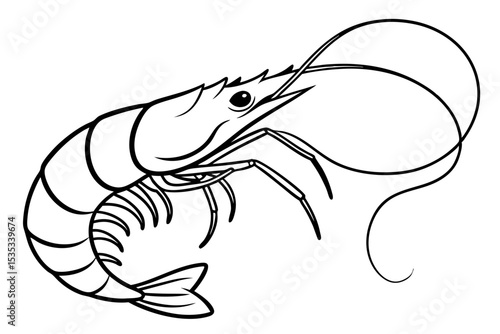 Shrimp One Line Drawing Seafood Illustration