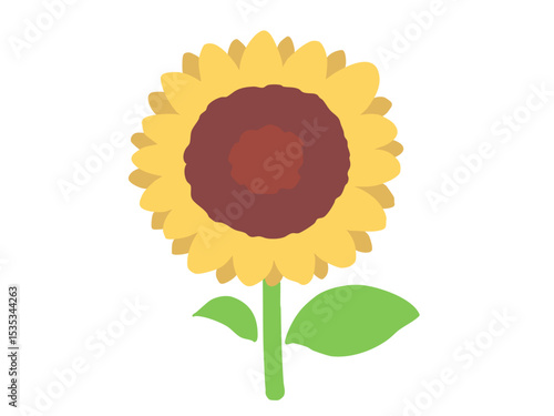 ヒマワリ 主線なし