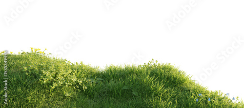 Verdant Hill Blooming with Yellow Flowers in Spring. 3D render.	
