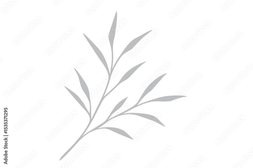 Fototapeta premium Simple gray willow branch illustration on a transparent background, ideal for minimalist nature-themed designs