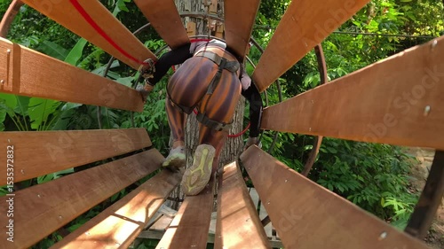 A woman is walking across a challenging ropes course in the extreme park