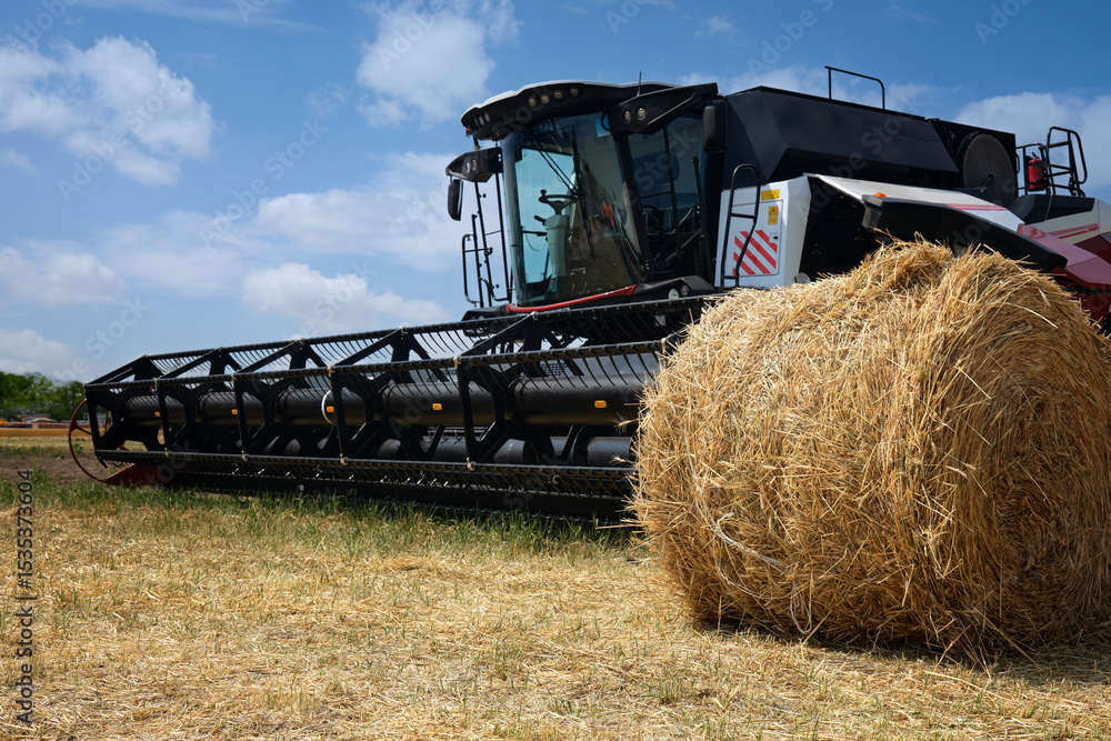 Fototapeta premium A roll of dry hay lies in a field after harvesting against the background of a modern combine harvester.