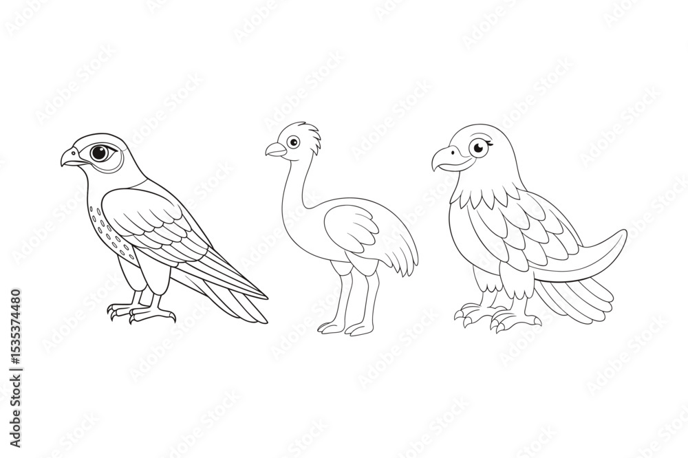 Fototapeta premium Birds coloring book bundle, Birds outline, Birds line art vector illustration