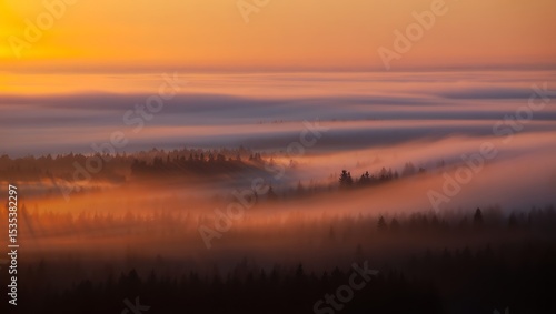 Sunrise over foggy forest landscape